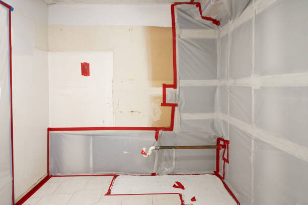 Best Residential Mold Inspection & Testing  in Kapolei, HI