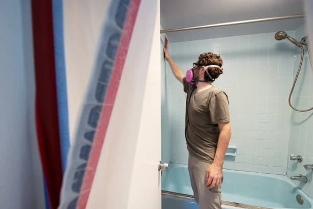 Best Environmental Consulting for Mold Prevention  in Kapolei, HI