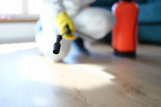 Best Emergency Mold Remediation  in Kapolei, HI