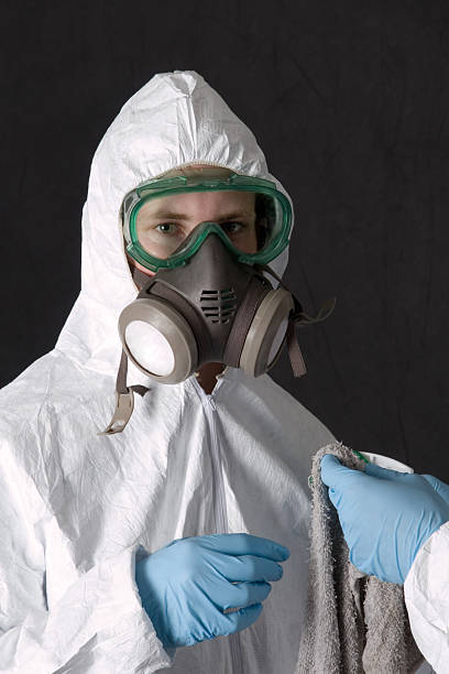 Best Mold-Related Health Consultation  in Kapolei, HI